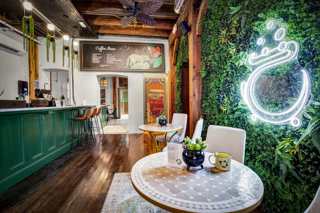 The Cauldron Cocktails & Coffee case study